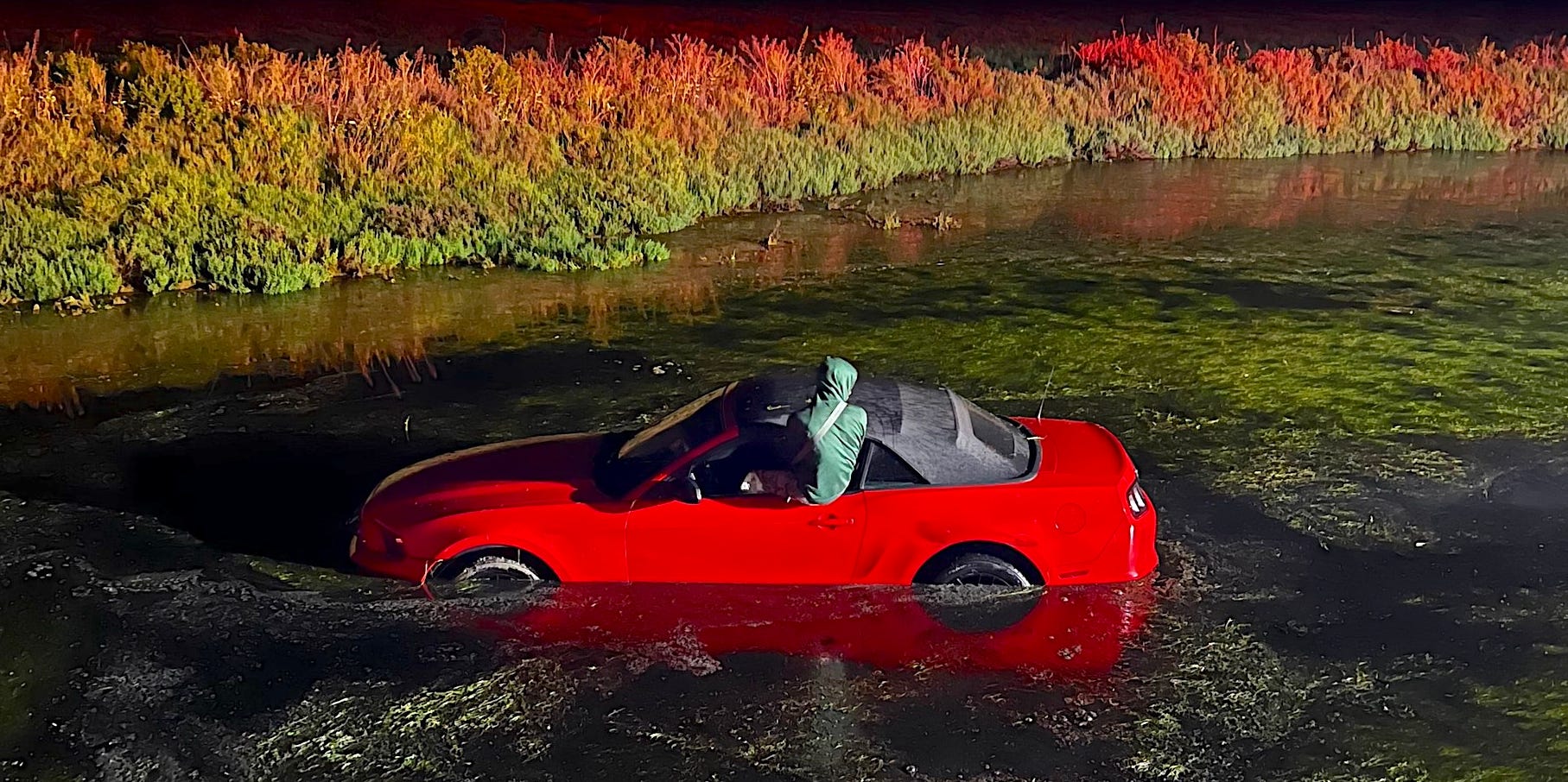 Drunk Driver Falls Asleep, Sends Ford Mustang Into California Pond