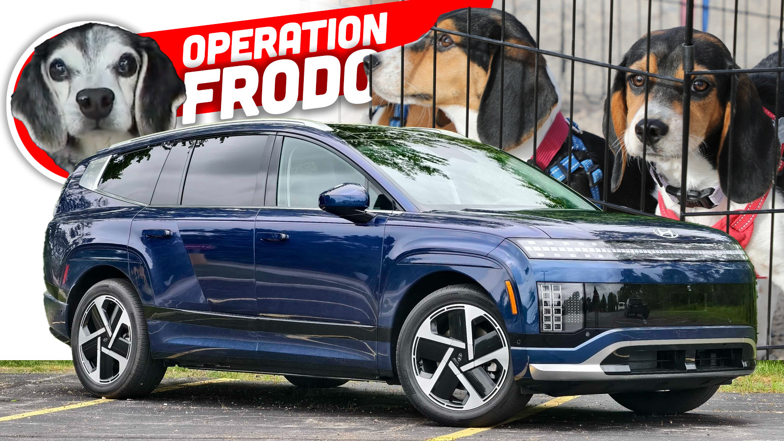 Operation Frodo: Cross-Country EV Convoy Rescues Midwest Beagles